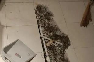 封开卫生间漏水检测电话